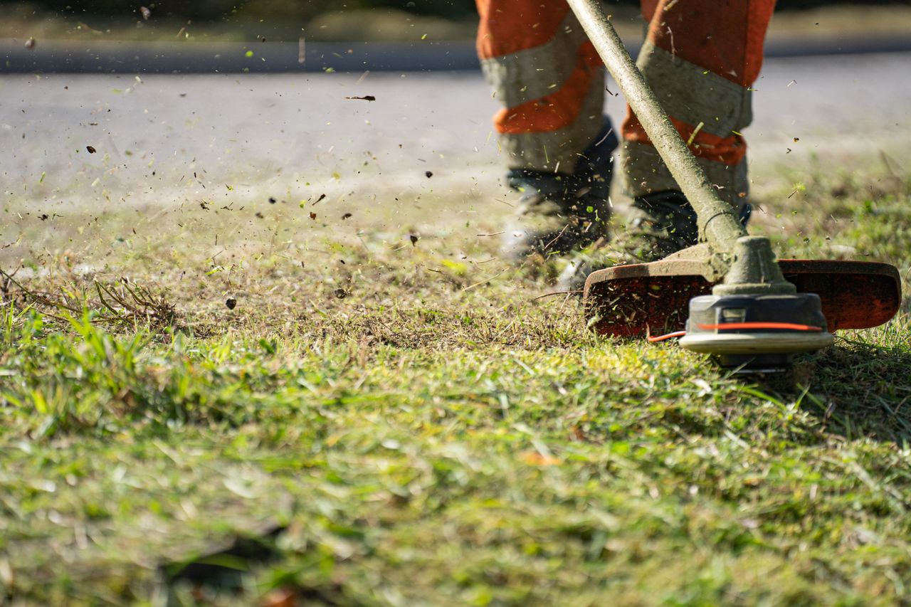 services-02 Close-up of a grass trimmer cutting lawn with grass clippings flying.